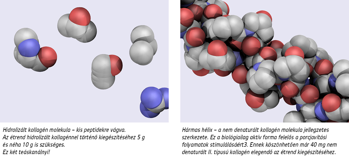 Movisan™ Collagen II - colagen