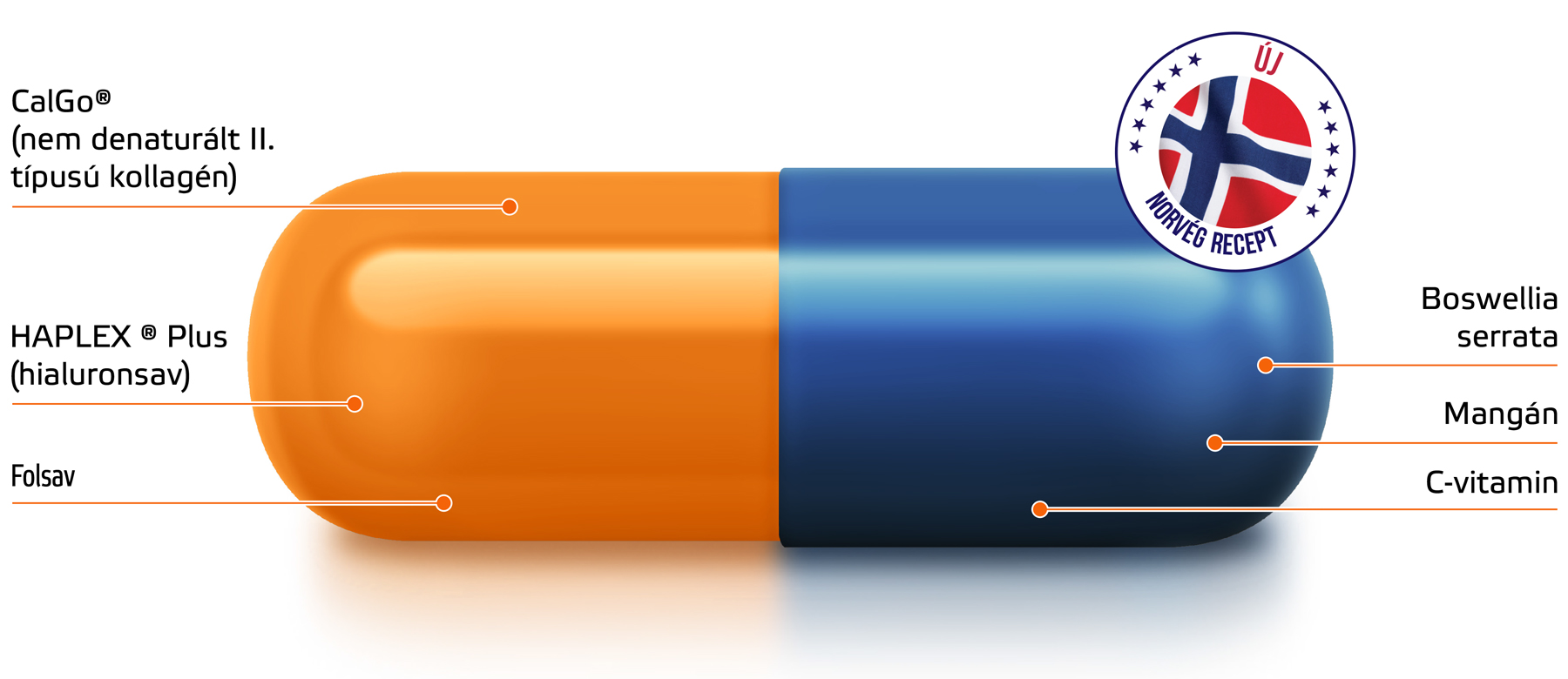 Movisan™ Collagen II
