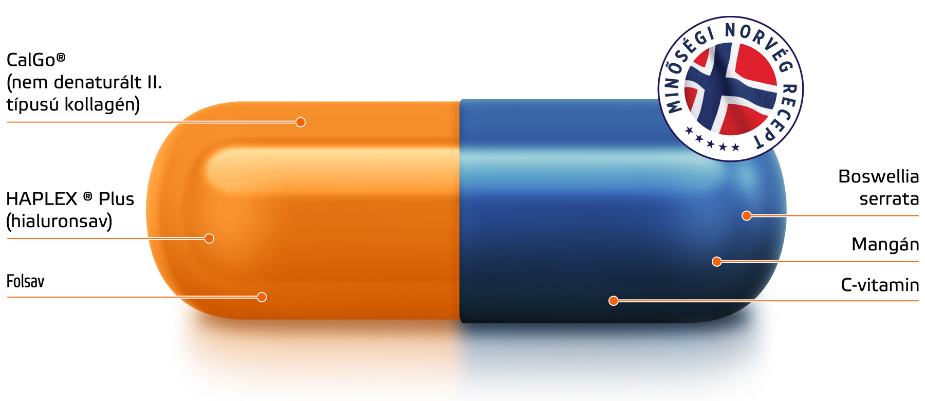 Natural Pharmaceuticals Movisan™ Collagen II Két színű kapszula (narancssárga-kék) az összetevők leírásával: II. típusú kollagén (CalGo®), hialuronsav (HAPLEX® Plus), folsav, Boswellia serrata, mangán és C-vitamin. A jobb felső sarokban a norvég receptúra minőségi jelölése.